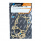 COMPLETE GASKET SET - ARTEIN GIMSON POLARIS (SPECIAL ORDER)