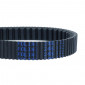 BELT FOR MAXISCOOTER POLINI ARAMID FOR HONDA 125 SH 2020> (955 x 24,2 x 10,8 mm x 26°) (248.133) 8054705118890