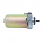 ELECTRIC STARTER FOR SCOOT PIAGGIO 50 ZIP 4 Stroke, LIBERTY 4 Stroke, VESPA PRIMEVERA 4Stroke (10 teeth) -P2R- 3701213430628