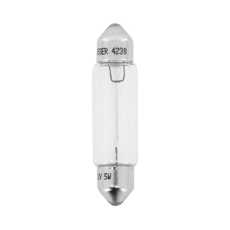 Ampoules C5W 12V 