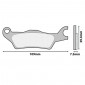BRAKE PADS - NEWFREN FOR PIAGGIO 50 TYPHOON 2 Stroke 2018>2020 /APRILIA 50 SR MOTARD 2 Stroke 2018> FRONT (FD0567BE) (SCOOTER ELITE ORGANIC) 8025832416906