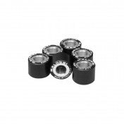 GALET/ROULEAU MAXISCOOTER MALOSSI 20x14,6 9,5g (x6) POUR HONDA 125 FORZA, PCX, SH, PANTHEON, S-WING/ KYMCO 125 DINK, GRAND-DINK (6611534ZO) 3700948260869