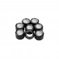 VARIATOR ROLLER FOR MAXISCOOTER MALOSSI 25x15,9 14,0g (x8) FOR PIAGGIO 350 BEVERLY (FOR MULTIVAR) (6615452E0) 3700948261491