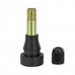 TYRE VALVE - STRAIGHT - TR600 HP -. 43,8mm (SOLD PER UNIT) -TIP TOP- 8033282006110