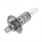 AMPOULE/LAMPE HALOGENE H1 12V 55W CULOT P14,5S BLANC (PROJECTEUR) (VENDU A L'UNITE) -OSRAM ORIGINAL- 4050300001487