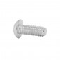 SCREW for ENGINE COVER M4 x 10 - FOR POLINI EP3