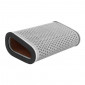 AIR FILTER FOR MOTORBIKE HONDA 1000 CB F 2011>, CBF 1000 2011> -HIFLOFILTRO HFA1929-