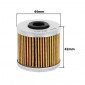 OIL FILTER FOR MAXISCOOTER POLINI FOR KYMCO 125 DOWNTOWN, 125 SUPER-DINK, 300 DOWNTOWN, 300 PEOPLE, K-XCT/KAWASAKI 300 J 2014> (203.3516) 8054705054433
