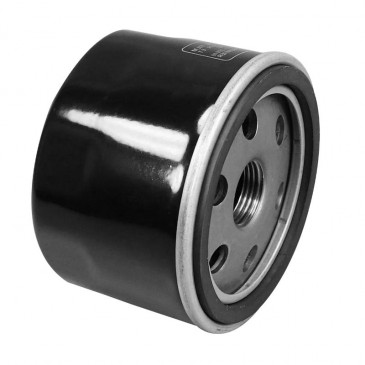 FILTRE A HUILE MAXISCOOTER ADAPTABLE GILERA 800 GP 2008>/APRILIA 850 SRV 2012> -SELECTION P2R- 3700948179093