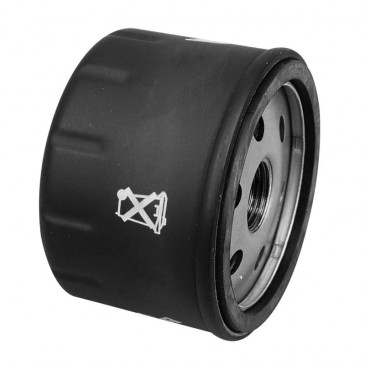 OIL FILTER FOR MAXISCOOTER BMW 600 C SPORT 2012>, 650 C GT 2012> -SELECTION P2R-