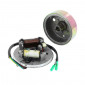 ALLUMAGE CYCLO ADAPTABLE MBK 51, 88 ELECTRONIQUE 12V (AVEC ROTOR) -SELECTION P2R- 3701213431502