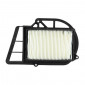 AIR FILTER FOR MAXISCOOTER YAMAHA 250 MAJESTY 2000>2003, 300 VERSITY 2003/MBK 250 SKYLINER 2000>2003, 300 LILIBRE 2003/MALAGUTI 250 PASWORD 2005>2009 -P2R- 1006024210001