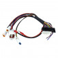 CABLE BUNDLE FOR ELECTRONIC CARD - POLINI EP3 8054705114281
