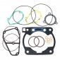 GASKET SET FOR CYLINDER KIT - RADICAL MOTOCROSS FOR GAS GAS 200-250-300 EC 2014>2017 8434579059008