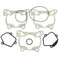 GASKET SET FOR CYLINDER KIT - RADICAL MOTOCROSS FOR KTM 85 SX >2018 8434579058551