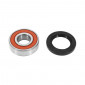 WHEEL BEARING + SEAL - TPI for PIAGGIO 50 TYPHOON , NRG (KIT 6204 2RS). 3701213425853