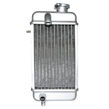 RADIATEUR 50 A BOITE ADAPTABLE RIEJU 50 RMX, SMX, RR, SPIKE -SELECTION P2R-