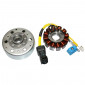 ALLUMAGE MAXISCOOTER ADAPTABLE PIAGGIO 125 X7, X8, X9, LIBERTY, LX, ET4, VESPA GTS/PEUGEOT 125 LOOXOR/APRILIA 125 ATLANTIC/GILERA 125 NEXUS (12 POLES - 150W) -SGR- 8434290545255