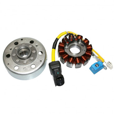 ALLUMAGE MAXISCOOTER ADAPTABLE PIAGGIO 125 X7, X8, X9, LIBERTY, LX, ET4, VESPA GTS/PEUGEOT 125 LOOXOR/APRILIA 125 ATLANTIC/GILERA 125 NEXUS (12 POLES - 150W) -SGR- 8434290545255