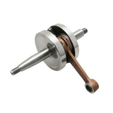 EMBIELLAGE/VILEBREQUIN 50 A BOITE ADAPTABLE MINARELLI 50 AM6/MBK 50 X-POWER/YAMAHA 50 TZR/PEUGEOT 50 XPS/RIEJU 50 RS2/BETA 50 RR/APRILIA 50 RS 1995>2005 (AVEC ROULEMENTS + JOINTS) -TOP PERF TYPE ORIGINE- 3700948161210