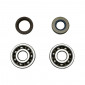 EMBIELLAGE/VILEBREQUIN 50 A BOITE ADAPTABLE MINARELLI 50 AM6/MBK 50 X-POWER/YAMAHA 50 TZR/PEUGEOT 50 XPS/RIEJU 50 RS2/BETA 50 RR/APRILIA 50 RS 1995>2005 (AVEC ROULEMENTS + JOINTS) -TOP PERF TYPE ORIGINE- 3700948161210