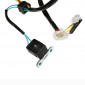 IGNITION STATOR FOR MAXISCOOTER SYM 125 JOYRIDE 2001>, HD-EVO 2005> (31120H9A001) -TOP PERF AS ORIGINAL- 3700948166086