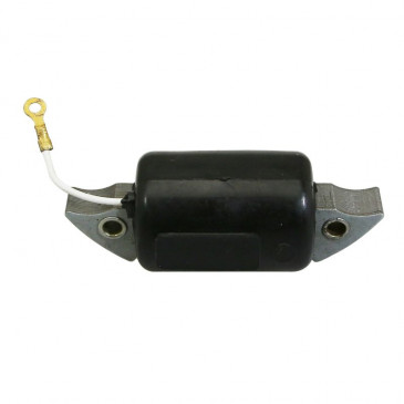 IGNITION COIL FOR MOPED - BOCH KREIDLER/FLANDRIA/PUCH/SACHS 6 SPEED - SELECTION P2R 6438131006211