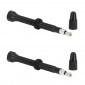 VALVE DE PNEU TUBELESS PRESTA VITTORIA 60 mm ALU NOIR OBUS DEMONTABLE (VENDU A LA PAIRE SUR CARTE) 8022530024150