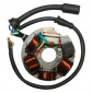 IGNITION STATOR FOR MAXISCOOTER PIAGGIO 125 PK, 50 VESPA PK WITHOUT BATTERY (5 POLES) (R.O. 199495) -P2R- 3700948053065