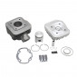 COMPLETE CYLINDER KIT FOR SCOOT MALOSSI CAST IRON FOR PEUGEOT 50 TKR, TREKKER, SPEEDFIGHT AIR, VIVACITY, BUXY, SQUAB, ZENITH, ELYSEO 3700948132326