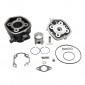 COMPLETE CYLINDER KIT FOR SCOOT POLINI CAST IRON FOR MBK 50 NITRO, MACH G/YAMAHA 50 AEROX, JOG R/MALAGUTI 50 F12, F15 L.C./APRILIA 50 SR L,C, (166.0094)