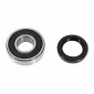 WHEEL BEARING + SEAL - SKF for MBK 50 BOOSTER AR/YAMAHA 50 BWS AR (KIT 6203-2RS). 3701213425815