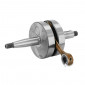 EMBIELLAGE/VILEBREQUIN 50 A BOITE ADAPTABLE MINARELLI 50 AM6 / APRILIA 50 RS, RX / PEUGEOT 50 XP6 / RIEJU 500 RR / YAMAHA 50 TZR DIAM AXE 12mm RENFORCE -ATHENA- 8052780270557