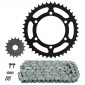 KIT CHAINE ADAPTABLE KAWASAKI 500 ER-5 1997>2006 520 17x42 (DIAM COURONNE 110/130/10.5) (DEMULTIPLICATION ORIGINE) -AFAM- 5400598040191
