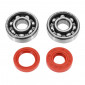 BEARING FOR CRANKSHAFT+SEALS FOR 50cc MOTORBIKE - FAG for MINARELLI AM6 (Bearing 6303 STEEL FAG/ RACING SEALS).