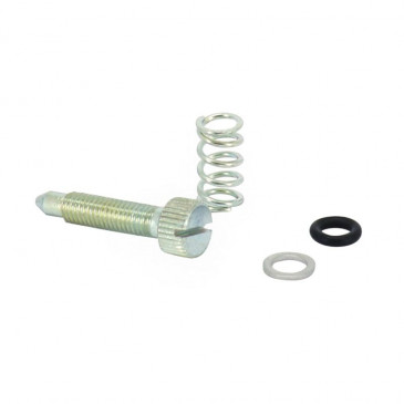 VIS DE RALENTI POUR CARBURATEUR DELLORTO PHBL (AVEC RESSORT ET JOINT) 3700948279137