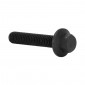 HEX SHOULDER SCREW M6 x 15 mm BLACK SW8 (10 IN A BAG). -SELECTION P2R-