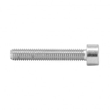 ALLEN SCREW M5 x 25 mm CHROME (25 IN A BAG). -SELECTION P2R-