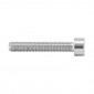 ALLEN SCREW M5 x 25 mm CHROME (25 IN A BAG). -SELECTION P2R-