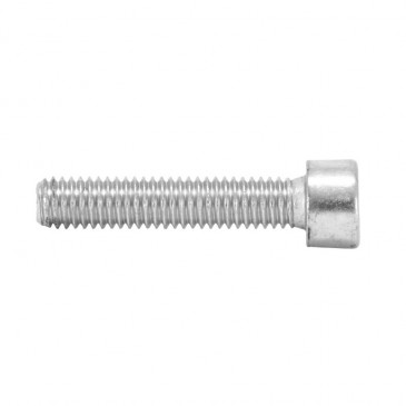 ALLEN SCREW M6 x 10 mm CHROME (25 IN A BAG). -SELECTION P2R-