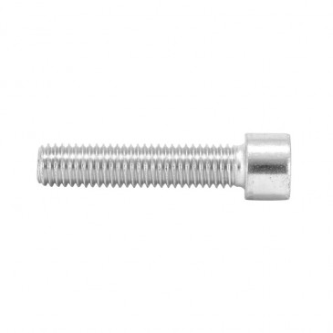 ALLEN SCREW M10 x 12 mm CHROME (10 IN A BAG). -SELECTION P2R-