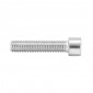 ALLEN SCREW M10 x 45 mm CHROME (10 IN A BAG). -SELECTION P2R- 7421083710458