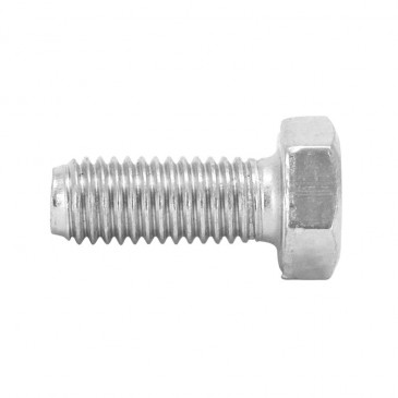 HEX SCREW M10 x 25 mm GALVANIZED (10 in a bag). -SELECTION P2R-