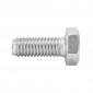 HEX SCREW M10 x 25 mm GALVANIZED (10 in a bag). -SELECTION P2R-