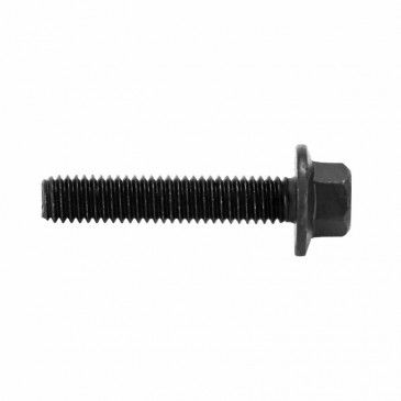 HEX SHOULDER SCREW M6 x 30 mm BLACK SW8 (10 IN A BAG). -SELECTION P2R-