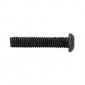 MACHINE SCREW-ROUND HEAD M6 x 20 mm BLACK (10 IN A BAG). -SELECTION P2R- 7421083707281