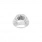 HEX FLANGED NUT - M6 x 1,00 Steel (10 IN BAG). -SELECTION P2R- 7421083706819