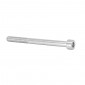 ALLEN SCREW M6 x 60 mm CHROME (12 IN A BAG). -SELECTION P2R-