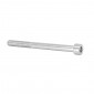 ALLEN SCREW M6 x 80 mm CHROME (12 IN A BAG). -SELECTION P2R- 7421083716573