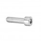 ALLEN SCREW M8 x 30 mm CHROME (12 IN A BAG). -SELECTION P2R-